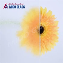 AR Coating Solar Glass