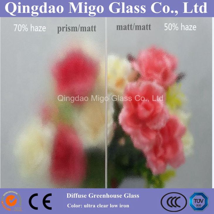 comparison between greenhouse glass with 50% haze and 70% haze