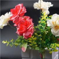 Non-Glare Glass